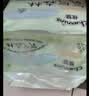 佳婴【品质安心尿裤】氧气森林拉拉裤2XL码68片(15KG+)尿不湿成长裤 实拍图