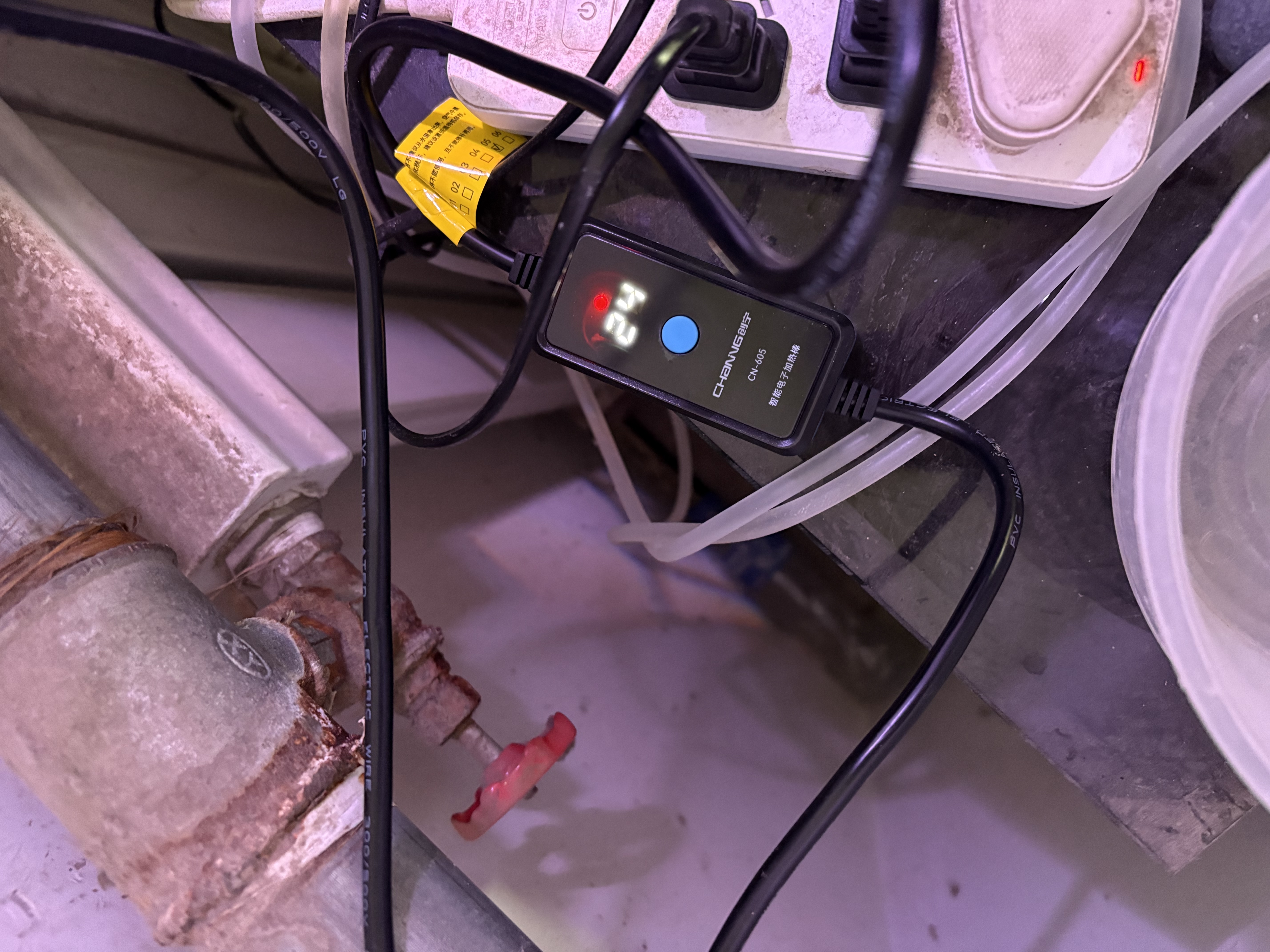 创宁鱼缸石英加热棒 CN-605-100W 低水位乌龟小型迷你自动恒温器 实拍图