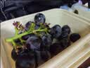 京鲜生 云南夏黑无籽黑提 蓝莓葡萄礼盒装4-4.5斤 高糖低酸 生鲜水果 实拍图