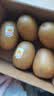 佳沛（zespri）新西兰金奇异果猕猴桃 5粒装 单果约88-103g 水果源头直发 实拍图