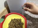 小佩宠物智能饮水机SOLO SE 暖白色 智能饮水机猫狗饮水用品无线水泵 实拍图