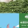 洁西烘干紫花苜蓿草 兔子牧草干草饲料兔粮龙猫荷兰猪豚鼠零食500g 实拍图