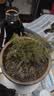 文竹盆栽绿植花卉盆景植物室内客厅水培文松云竹文竹大苗四季常青 小文竹【1颗】原盆原土球发货 高度15-25cm 实拍图