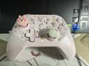 飞智沙漠狐 暮光粉 多模版无线游戏手柄switch2电脑PC手机steamNS 星露谷物语【手柄+接收器】 实拍图