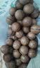 三只松鼠京觅联名夏威夷果1000g24-26mm儿童每日坚果炒货休闲零食团购送礼 实拍图