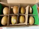 佳沛（zespri）新西兰金奇异果8粒特大果124-146g猕猴桃水果礼盒 实拍图