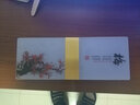 寻光之鹿壁灯新中式床头灯创意印花灯具 精美韵味艺术装饰灯 梅兰竹菊 拉丝金40*15cm竹子 三色光 实拍图