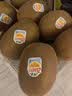 佳沛（zespri）新西兰金奇异果12粒特大果124-146g猕猴桃水果礼盒 实拍图