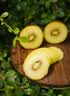 佳沛（zespri）新西兰金奇异果22粒巨大原箱146-175g猕猴桃水果礼盒 实拍图