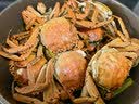 【活蟹】阳澄逍遥大闸蟹鲜活螃蟹全母蟹2.3-2.6两8只现货湖河蟹水产海鲜礼盒次日达 实拍图