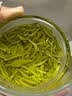 贝知春信阳毛尖茶叶2026新茶明前特级口粮茶绿茶125g送领导送长辈自己喝 实拍图