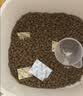 冠能猫粮幼猫猫粮3周-12月龄1.5kg 全价猫粮 添加牛初乳 增肥发腮 实拍图
