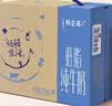蒙牛特仑苏低脂纯牛奶250ml×16盒 3.6g蛋白 健身减脂 送礼礼盒 实拍图
