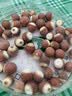 口福坊芡实干货500g大颗粒正宗新鲜鸡头果特级肇庆茨实搭茯苓煲汤中药材 实拍图