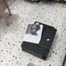 爱普生（EPSON）【6代新品】L3353墨仓式彩色家用AI学习打印机 L3251/L3255升级版(打印复印扫描 微信/无线 黑色） 实拍图