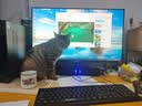 华硕（ASUS）【14代酷睿i7】台式电脑主机独显商务办公家用游戏设计渲染企业补贴组装电脑整机全套 E：酷睿i7丨32G+1TB丨设计剪辑独显 华硕主机+27寸显示器全套(高清蓝光护眼) 实拍图