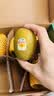 佳沛（zespri）新西兰阳光金奇异果6粒装88-103g猕猴桃水果水果礼盒 实拍图