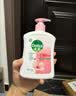 滴露（Dettol）洗手液滋润250g 儿童洗手液抑菌消毒宝宝 水润补充装试用 实拍图