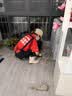 京东家政 【4小时保洁单次服务】家政保洁上门服务 京东保洁家庭清洁 适用面积＜120平米 实拍图