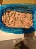 美加佳加拿大海藻头熟冻北极甜虾净重3斤 规格90/120  送礼 火锅聚餐 实拍图