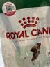 皇家狗粮 成犬狗粮 犬粮 宠物小型犬 PR27 全价犬粮≥10月2KG 实拍图
