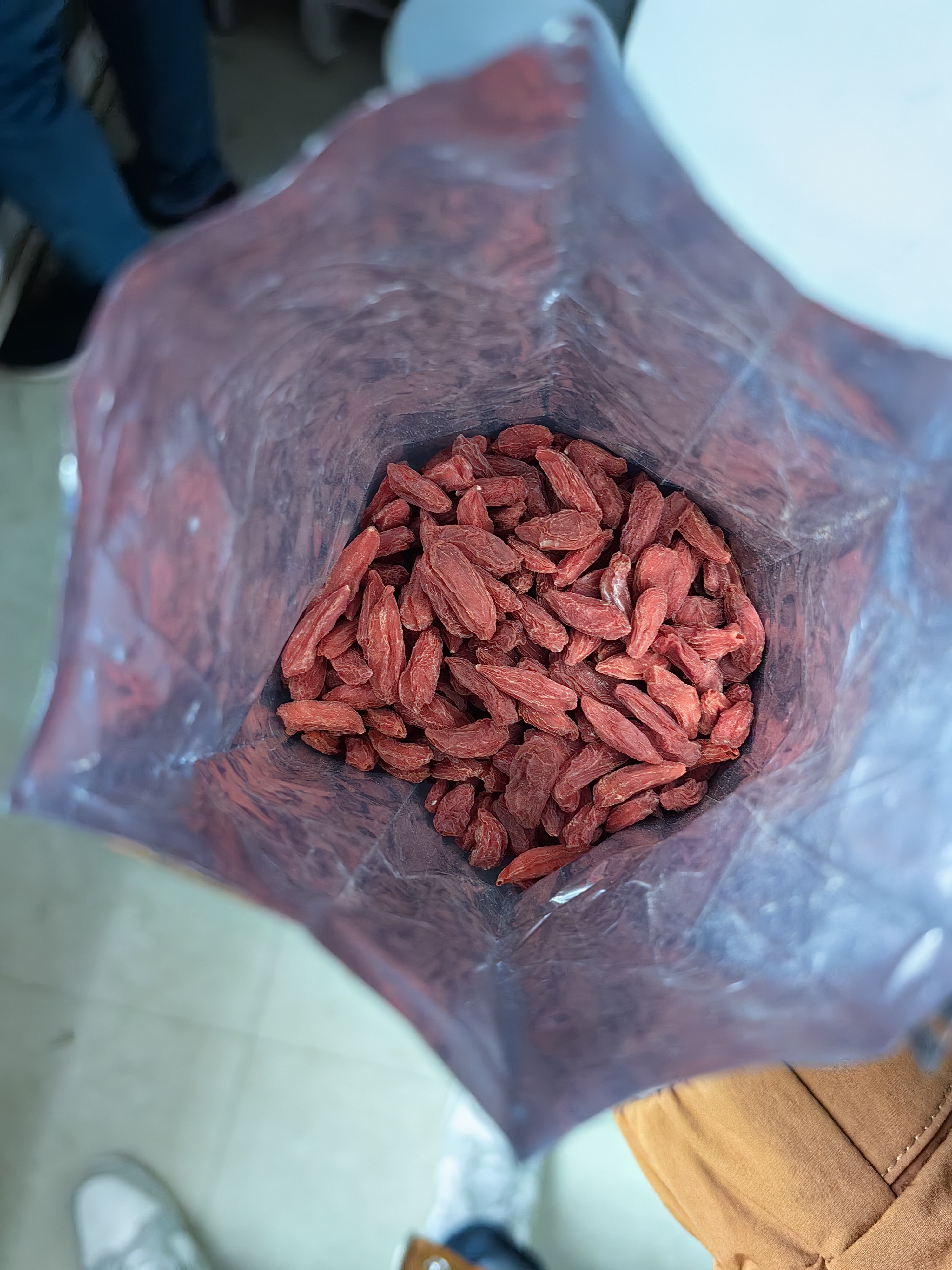 福东海 宁夏红枸杞子200g 特级新货头茬苟杞子中宁免洗泡水菊花茶滋补品 实拍图