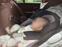 Prigel舒安pro新生婴幼儿宝宝儿童安全座椅可坐可躺车载汽车用0-6-12岁 舒安pro 乌梅紫酱(不窝脖设计+单手旋转+175°大躺角) 实拍图