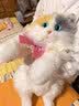 Chongker宠客淡三花猫背包仿真玩偶公仔毛绒玩具安抚送礼女生生日礼物 实拍图