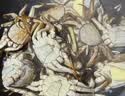 【活蟹】漁家师傅大闸蟹全母4.0-4.3两8只 去绳足重鲜活螃蟹现货生鲜水产礼盒 金秋送礼 实拍图