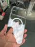 倍思【18全新开模|Rosh环保认证】用苹果18pro手机壳iphone18pro保护套磁吸透明镜头全包防摔 实拍图
