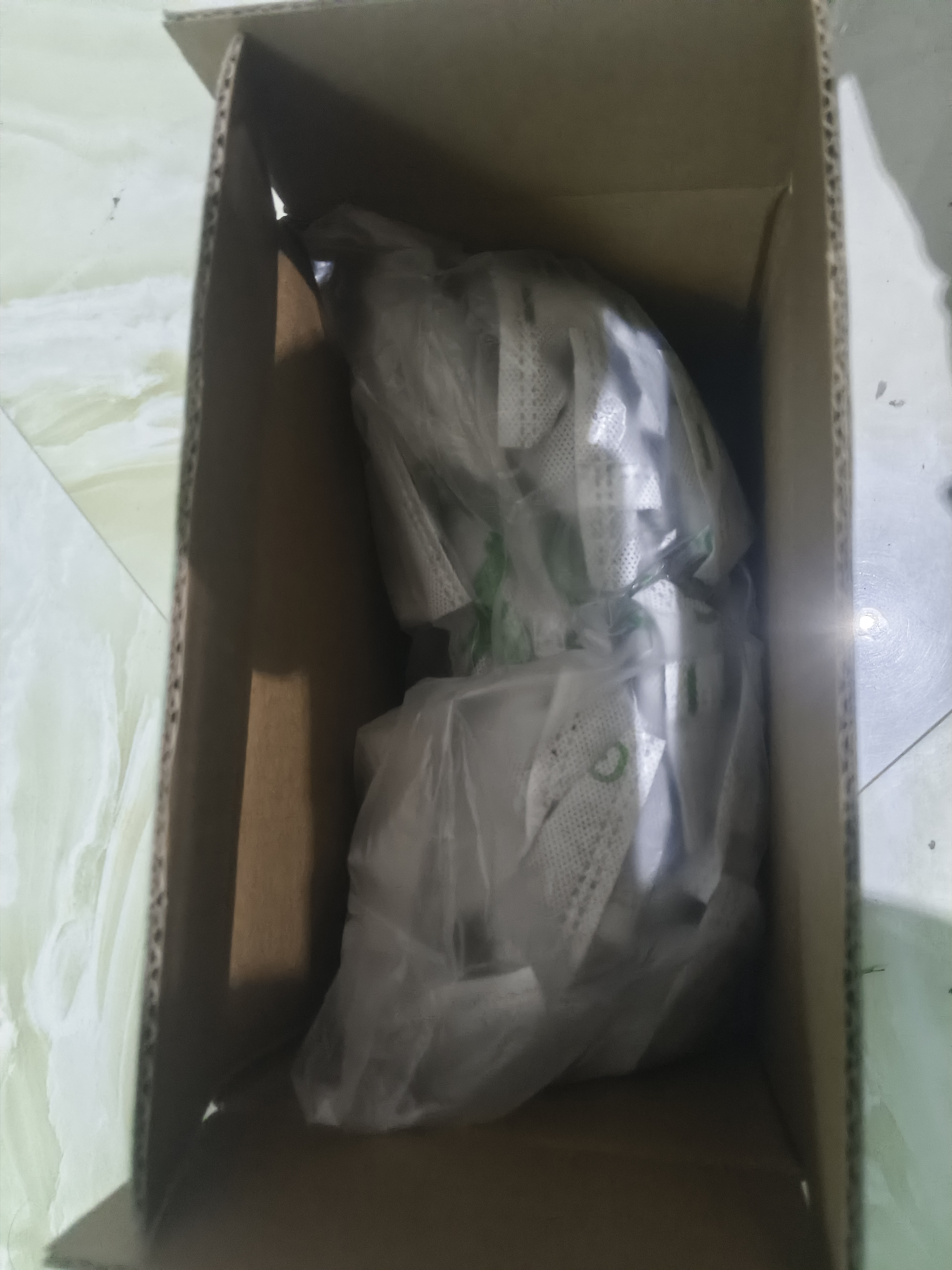 绿之源2100g醛能净 净家卫士活性炭 新家房装修急入住吸去除甲醛炭包 实拍图