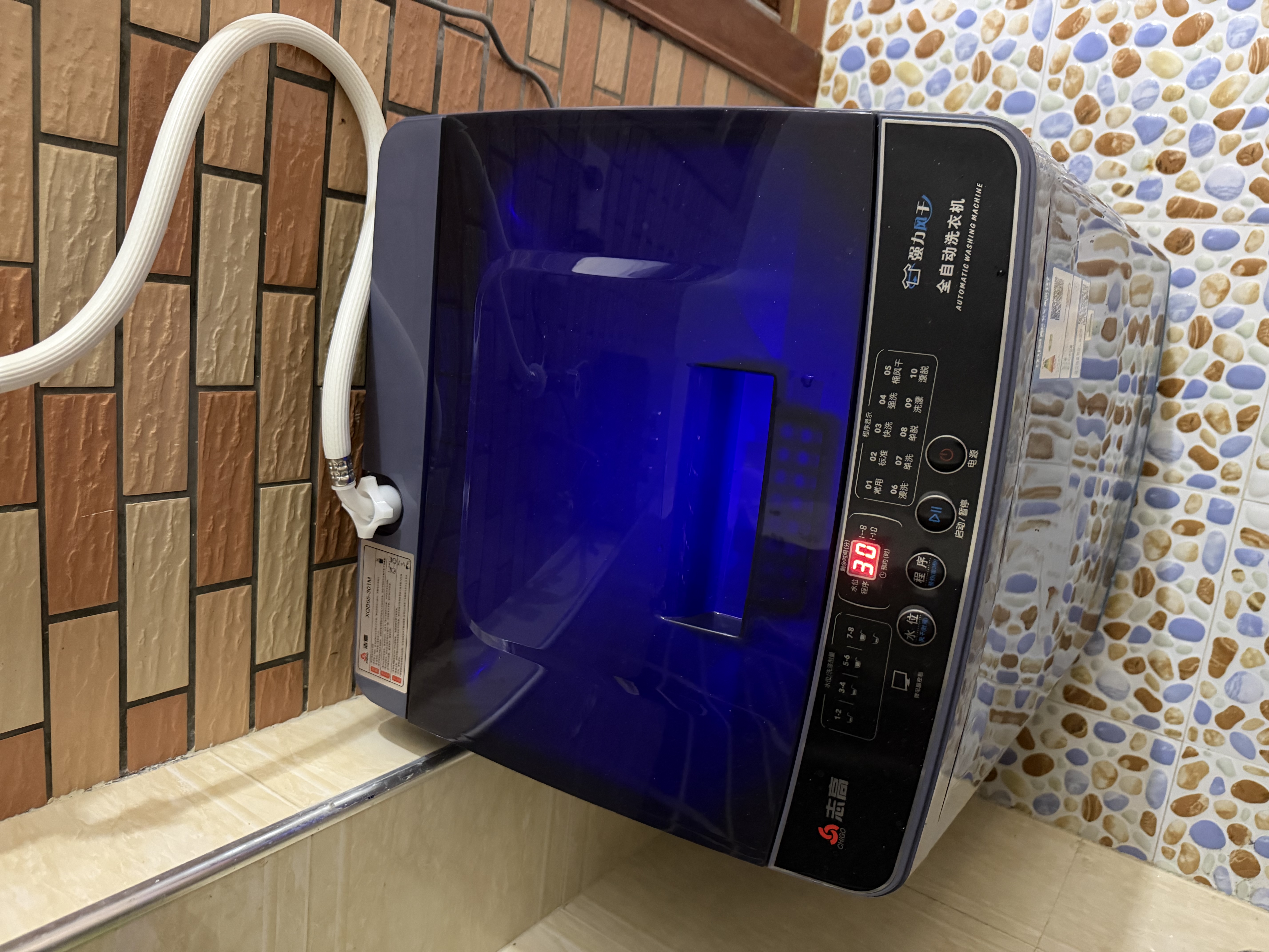 志高（CHIGO）全自动洗衣机 波轮宿舍迷你小型家用 【补贴15%】洗烘一体 智能洗脱一体机 大容量 风干 直排式 【京仓配送】12KG洗脱容量 店铺热销款 波轮 实拍图