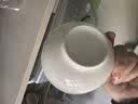 京东京造 碗盘餐具整套 碗具套装乔迁之喜陶瓷 纯白骨瓷 饭碗4.5英寸*6 实拍图