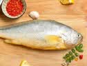 三都港 冷冻黄花鱼700g/2条装 新鲜大黄鱼 深海鱼 生鲜 鱼类 海鲜水产 实拍图