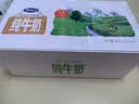 完达山生牛乳纯牛奶200ml*24盒 3.2g蛋白  礼盒装送礼 黄金奶源带 实拍图