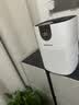BERRSH（德国柏瑞氏）空气净化器除甲醛净化机除烟味家用桌面新房专用小型除过敏原消毒杀菌除异味二手烟 【含滤芯】除甲醛丨除二手烟丨除病菌丨除PM2.5 【AI智能净化】甲醛TVOC数显丨实时检测空气 实拍图