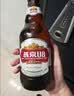 燕京啤酒 U8小度酒500ml*12瓶 整箱装 新老包装交替发货 现货热卖 实拍图