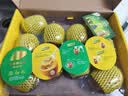 佳沛（zespri）新西兰金奇异果10粒巨大果146-175g猕猴桃水果礼盒 实拍图