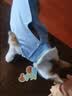 欢宠网宠物猫咪绝育服猫手术服母猫衣服断奶术后恢复幼小猫猫透气防舔衣 实拍图