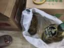 欧丽薇兰Olivoila【保真橄榄油】食用油 纯正橄榄油2.5L 中餐专用 实拍图