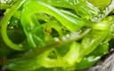 盖世调味裙带菜 净重2斤 酸甜解腻海白菜 海草海藻沙拉寿司 实拍图