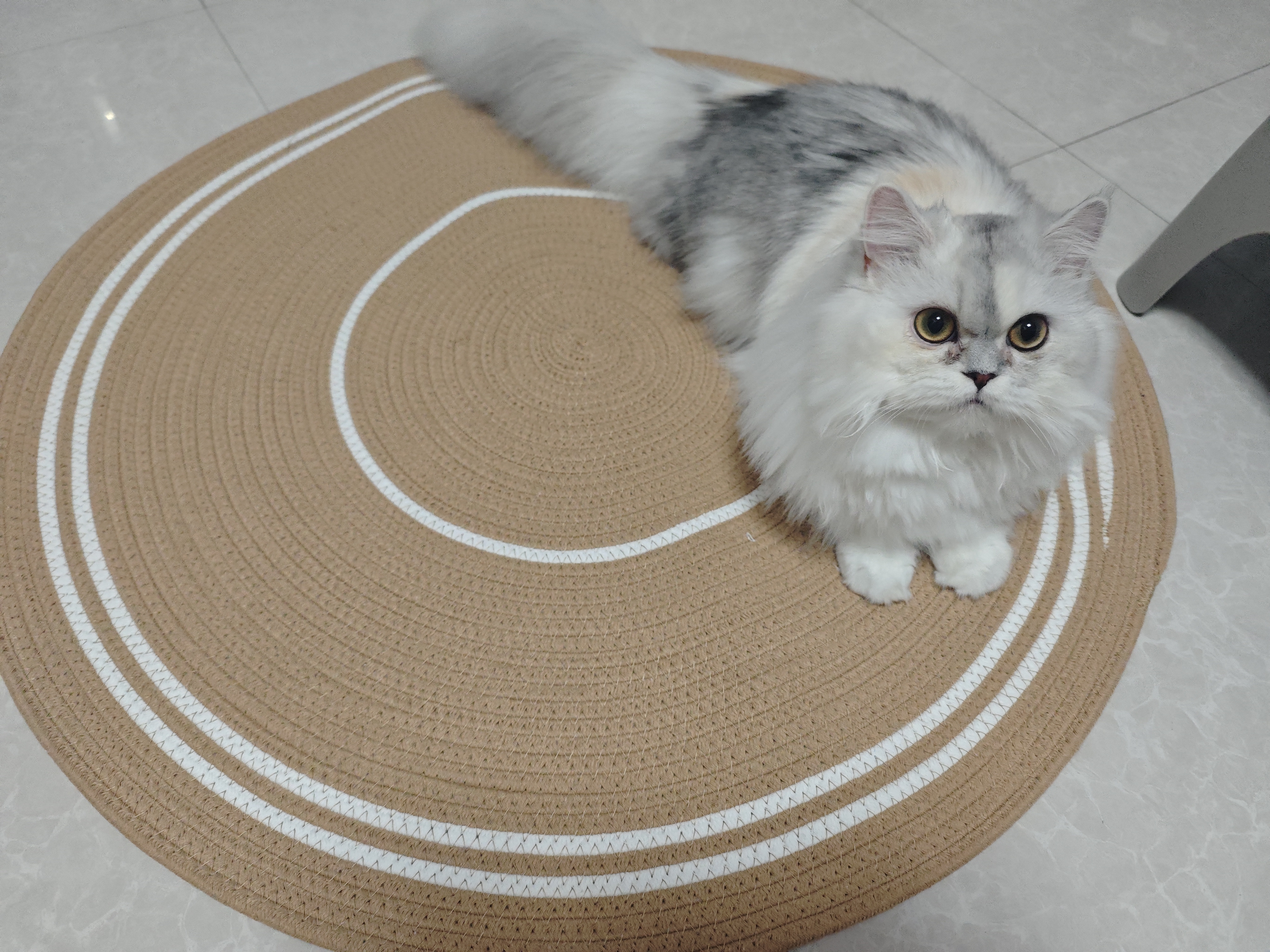 pidan猫砂 豆腐猫砂2.4kg*4包强力吸臭纯猫砂 可冲厕所非膨润土砂 实拍图