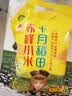 十月稻田 赤峰小米 1kg 内蒙古敖汉旗 黄小米杂粮 小米黄小米 实拍图