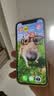 Apple/苹果 苹果 iPhone 17/16/15/14/13/12/11/X系列二手手机 规格见质检报告 苹果 iPhone 12 mini 实拍图