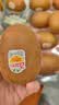 佳沛（zespri）新西兰金奇异果12粒特大果124-146g猕猴桃水果礼盒 实拍图
