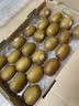 佳沛（zespri）新西兰金奇异果22粒巨大原箱146-175g猕猴桃水果礼盒 实拍图