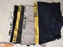 真维斯（Jeanswest）男士内裤纯棉平角裤大码四角4条 实拍图