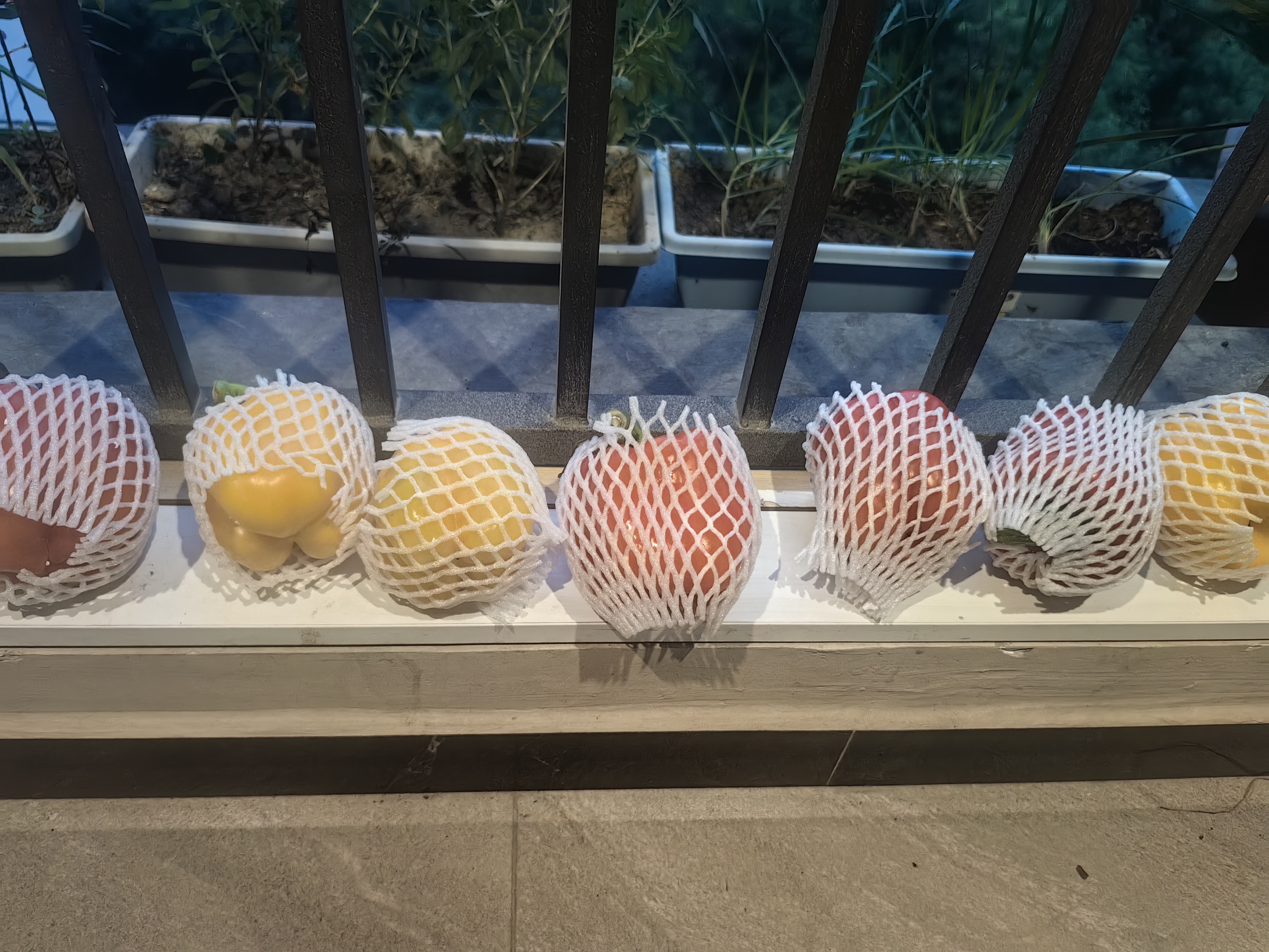 京鲜生山东双色彩椒净重3斤单果160g+ 早餐轻食水果彩椒酸奶碗源头直发 实拍图