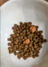 麦富迪猫粮 超肉粒冻干双拼幼猫粮免疫护肠胃 三文鱼2kg 实拍图