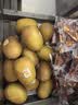 佳沛（zespri）新西兰 金奇异果特大果15粒134-146g猕猴桃水果礼盒 实拍图